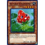 HA04-EN021 Naturia Strawberry Super Rare