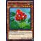 HA04-EN021 Naturia Strawberry Super Rare