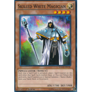 YGLD-ENC20 Skilled White Magician Commune