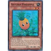 HASE-EN002 Naturia Pineapple Super Rare