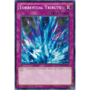 SDMP-EN039 Torrential Tribute Commune