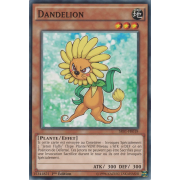 SR01-FR018 Dandelion Commune