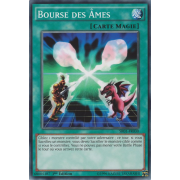 SR01-FR030 Bourse des Âmes Commune