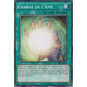 SR01-FR033 Charge de l'Âme Commune