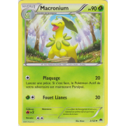 XY9_2/122 Macronium Peu commune