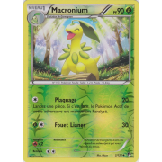 XY9_2/122 Macronium Inverse