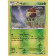 XY9_5/122 Crikzik Inverse