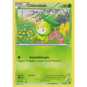 XY9_7/122 Chlorobule Commune