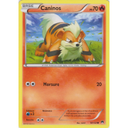 XY9_10/122 Caninos Commune