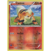 XY9_10/122 Caninos Inverse