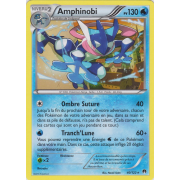 XY9_40/122 Amphinobi Rare