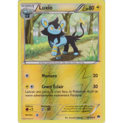 XY9_45/122 Luxio Inverse