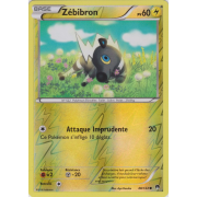 XY9_48/122 Zébibron Inverse