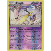 XY9_62/122 Exagide Inverse