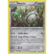 XY9_80/122 Noacier Rare