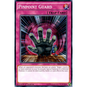 SR01-EN040 Pinpoint Guard Commune