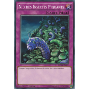 WIRA-FR059 Nid des Insectes Piquants Commune