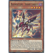 WIRA-EN019 Raidraptor - Sharp Lanius Commune