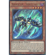 WIRA-EN021 Raidraptor - Tribute Lanius Ultra Rare