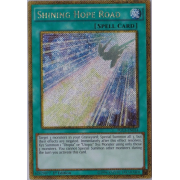 PGL3-EN014 Shining Hope Road Gold Secret Rare