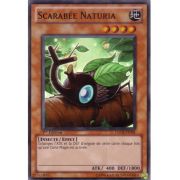 HA02-FR001 Scarabée Naturia Super Rare