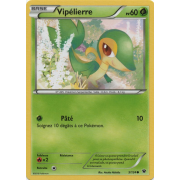 XY10_5/124 Vipélierre Commune