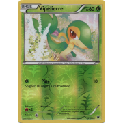 XY10_5/124 Vipélierre Inverse