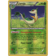 XY10_6/124 Lianaja Inverse