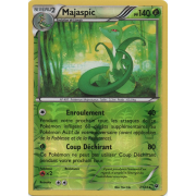 XY10_7/124 Majaspic Inverse