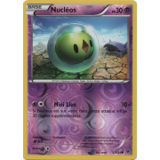 XY10_33/124 Nucléos Inverse