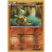 XY10_40/124 Embrylex Inverse