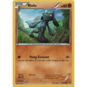 XY10_46/124 Riolu Commune