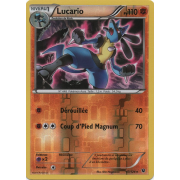 XY10_47/124 Lucario Inverse