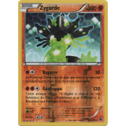 XY10_53/124 Zygarde Inverse