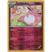 XY10_66/124 Grodoudou Inverse