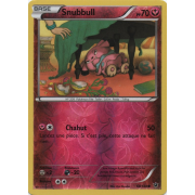 XY10_68/124 Snubbull Inverse