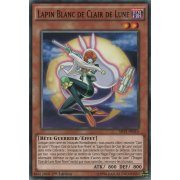 SHVI-FR010 Lapin Blanc de Clair de Lune Commune