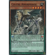 SHVI-FR028 Colère Amorphage Commune