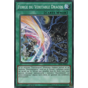 SHVI-FR061 Forge du Véritable Dracos Commune