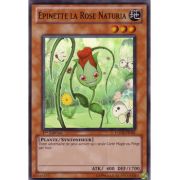 HA02-FR041 Épinette la Rose Naturia Super Rare