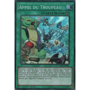 SHVI-FR081 Appel du Troupeau Super Rare