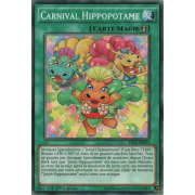 YS16-FR023 Carnival Hippopotame Commune