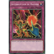 YS16-FR035 Interruption de Raigeki Commune