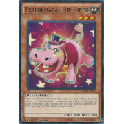 YS16-EN013 Performapal Hip Hippo Commune