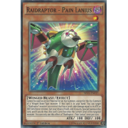 SHVI-EN015 Raidraptor - Pain Lanius Commune