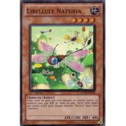 HA03-FR010 Libellule Naturia Super Rare
