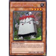 HA03-FR012 Falaise Naturia Secret Rare