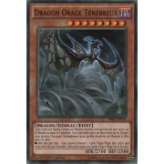 SR02-FR012 Dragon Orage Ténébreux Commune