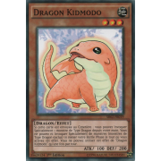 SR02-FR019 Dragon Kidmodo Commune