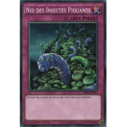 SR02-FR037 Nid des Insectes Piquants Commune